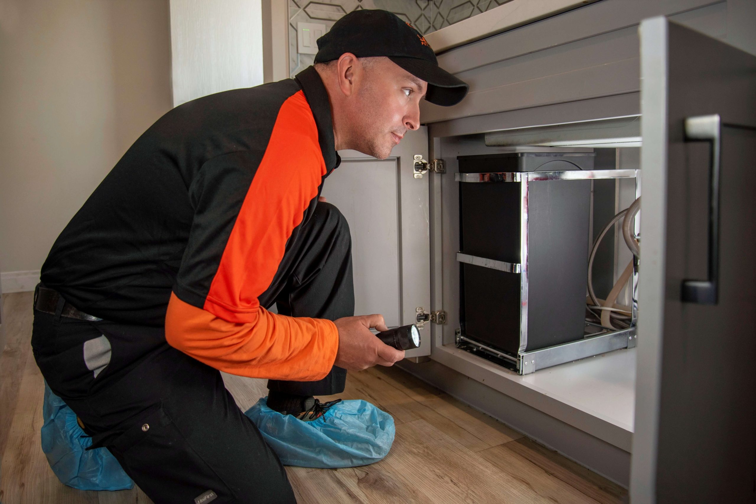 pest control in Orange County, California by Shimmy Pest Control of Laguna Hills
